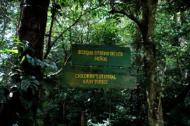 Monteverde Children's Eternal Rainforest