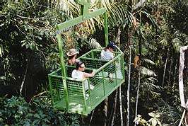 Rainforest Aerial Tram, Gamboa Rainforest Resort, Panama