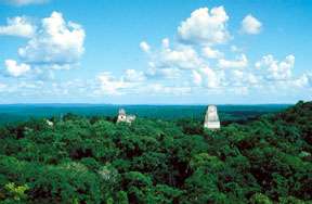 View from the top of one of the Tikal Pyramids, Guatemala