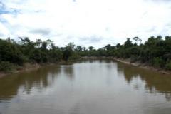 Amazon River tribitary