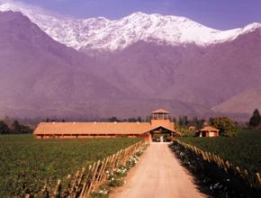 Aquitana Winery, Maipo Valley, Chile