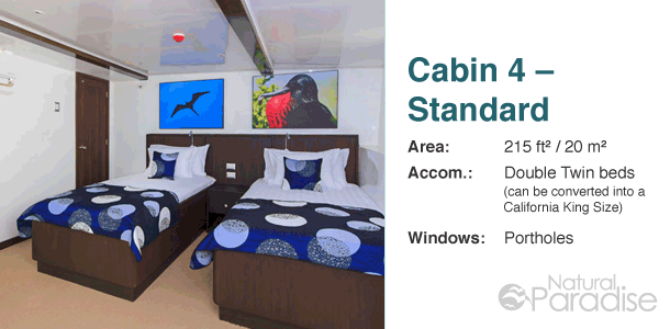 Galapagos M/Y Natural Paradise Lower Deck Floor Plan Cabin 4-Standard
