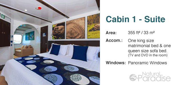 Galapagos M/Y Natural Paradise Main Deck Floor Plan Cabin 1-Suite