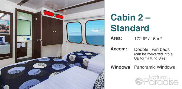 Galapagos M/Y Natural Paradise Main Deck Floor Plan Cabin 2-Standard