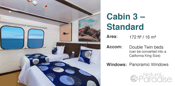 Galapagos M/Y Natural Paradise Main Deck Floor Plan Cabin 3-Standard