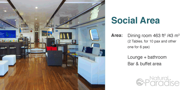 Galapagos M/Y Natural Paradise Main Deck Social Area Floor Plan and Details
