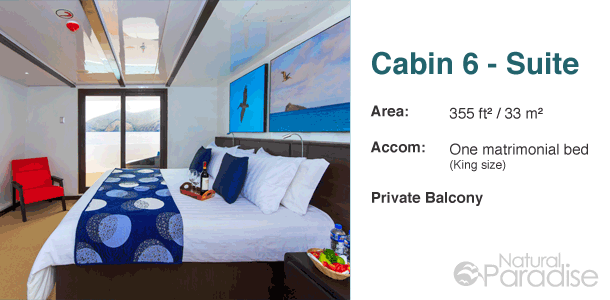 Galapagos M/Y Natural Paradise Upper Deck Floor Plan Cabin 6-Suite