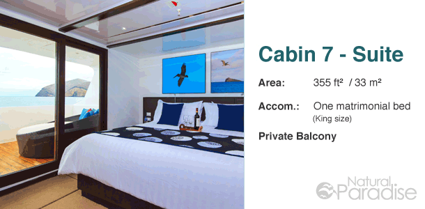 Galapagos M/Y Natural Paradise Upper Deck Floor Plan Cabin 7-Suite