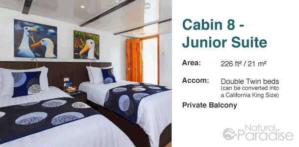 Galapagos M/Y Natural Paradise Upper Deck Floor Plan Cabin 8-Junior Suite