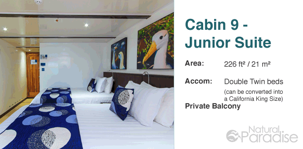 Galapagos M/Y Natural Paradise Upper Deck Floor Plan Cabin 9-Junior Suite