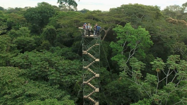 Rainforest Expeditions Canopy Tower, Puerto Maldonado, Peru