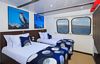 Standard Cabin, Main Deck, Galapagos Yacht M/Y Natural Paradise