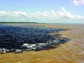 Meeting of the waters where the Rio Negro and the Rio Solimoes meet.