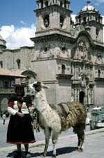 Cuzco Woman & Llama