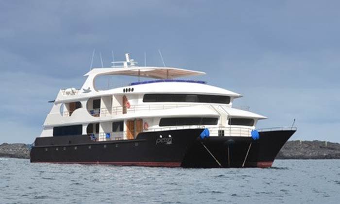 Luxury Catamaran M/C Petrel