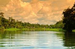 Dawn on the Amazon River, Pacaya-Samiria Reserve