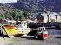 Puerto Montt Fishing Boats