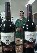 Viu Manent winery worker, Chile