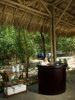 Reception, Arenas del Mar Beach & Nature Resort, Manuel Antonio, Costa Rica