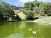 Duck Pond, Belmar Hotel, Monteverde Cloud Forest, Costa Rica