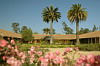 Courtyard & Giant Palm Trees, La Casona Vina Matetic Hotel, Lagunillas, Casablanca, Chile