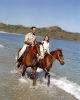 Horseback Riding on the Beach, Four Seasons Luxury Resort Hotel, Peninsula Papagayo, Costa Rica