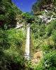 Waterfall Trail, Four Seasons Luxury Resort Hotel, Peninsula Papagayo, Costa Rica