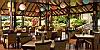 Restaurant, Nayara Hotel & Gardens, Arenal, Costa Rica