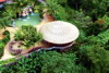 Aerial Treetops Grill, The Springs Resort & Spa at Arenal, Costa Rica