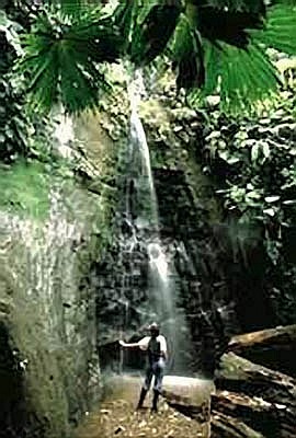 On a nature hike to a waterfall in Corcovado National Park, Costa Rica