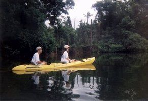 Jungle River Canoeing and Kayaking Adventure while staying at Hamanasi Lodge, Dangriga, Belize!