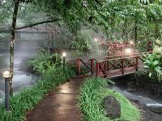 Garden Bridge, Tabacon Hot Springs, Arenal, Costa Rica