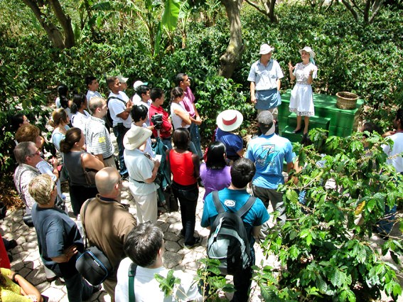 Cafe Britt Coffee Plantation Tour, Costa Rica
