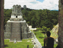Tikal Pyramids, Guatemala