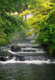 Waterfall, Tabacon Hot Springs Resort, Costa Rica