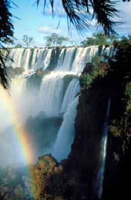 View of Iguazu Falls from Lower Walk