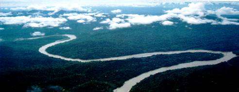 Explore the twists and turns of the Amazon River on one of EcoAdventures' Amazon River Cruises.
