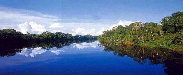 Cruise the majestic Amazon River aboard the M/V Aqua or M/V Delfin I and enjoy scenes such as this in the Pacaya-Samiria National Reserve! The black water creates a perfect mirror of the surrounding forest.
