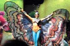 Folklore show 'butterfly'