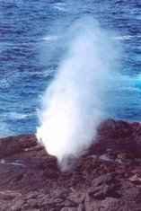 When heavy swells are running, Point Suarez is also the site of a spectacular blow hole, with thundering spray shooting 30 yards into the air.