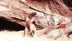 Entrance to Milodon Cave