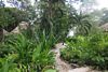 'Garden Pathway, Lamanai Outpost Lodge, Orange Walk, Belize
