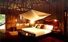 Amazon Villa Bedroom, Refugio Amazonas Hotel, River National Reserve, Tambopata, Puerto Maldonado, Peru