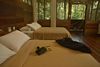 Standard Room, Sacha Lodge, Napo River, Coca, Ecuador