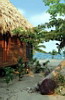 Beachfront Cabana, Turtle Inn, Placencia Peninsula, Belize