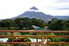 Volcano & Parrot, Arenal Lodge Hotel, La Fortuna, Costa Rica