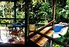 Pool & Bar, Casa Corcovado Jungle Lodge Hotel, Osa Peninsula, Costa Rica