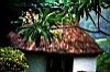 Thatched-Roof Cottage, Chaa Creek Cottages, San Ignacio, Belize