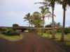 Palm-Lined Driveway, Hanga Roa Eco Village & Spa Hotel, Hanga Roa, Easter Island
