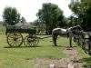 Horse & Wagon, Estancia El Ombu, San Antonio de Areco, Argentina